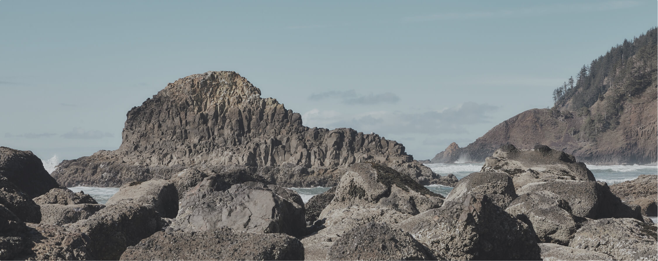 河域至海岸環境時空變遷系統及尖端觀測網